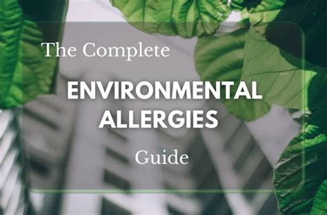 The Complete Environmental Allergies Guide Allergy Preventions