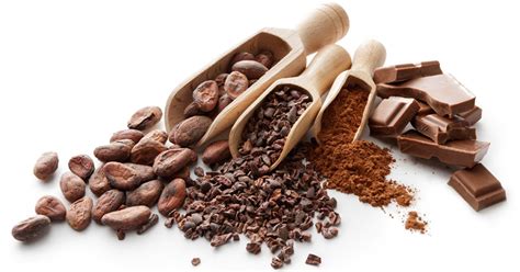 Cacao Cocoa And Chocolate What Are The Differences And Do They Matter