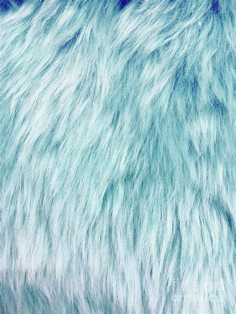 Blue Fur Background Photograph By Tom Gowanlock Fine Art America