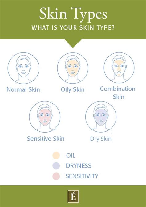 Whats Your Skin Type Easy 3 Step Skincare Quiz
