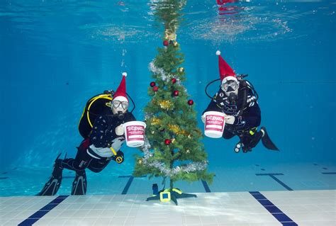 Jo Horrocks Decorates A Christmas Tree Underwater Surrey Live