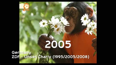 Ungewöhnlicher besuch in der brandenburger tierklinik: Germany - ZDF - Unser Charly (1995/2005/2008) - YouTube