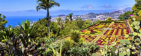 Botanischer garten madeira den zweiten von insgesamt drei (ganzen) tagen auf madeira haben wir hauptsächlich im und um den botanischen garten funchal / monte verbracht. Der botanische Garten von Funchal - Madeira - Portugal