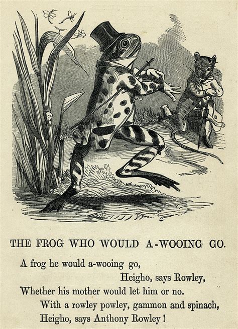 A Frog He Would A Wooing Go Heigho Drawing By Mary Evans Picture Library