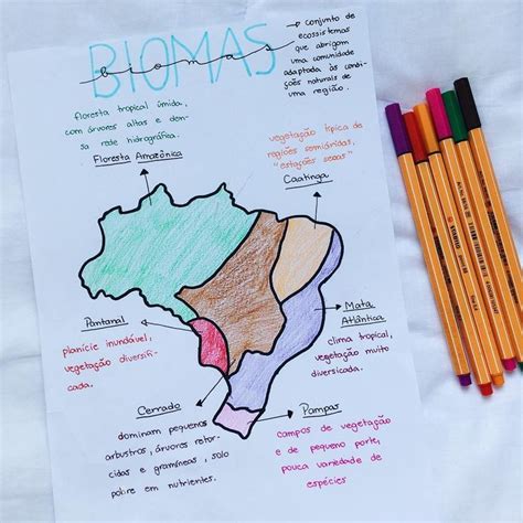 Resumo Biomas Do Brasil By Carol Biomas Estudar Geografia