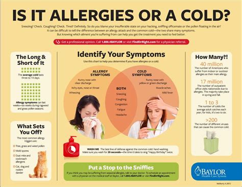 Allergies Or Cold Learn How To Tell The Difference