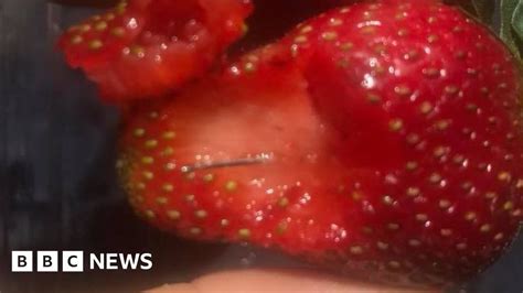 Australia Strawberry Scare Accused Saboteur Motivated By Spite Bbc