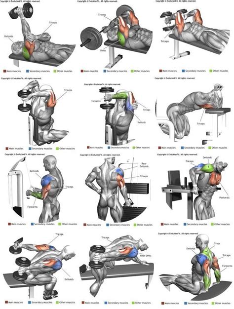 Tricep Exercises ~ Fitnessourcetips