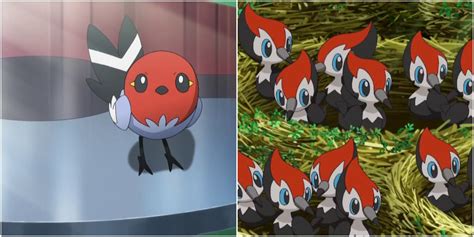 Pokémon The 10 Best Regional Birds Ranked By Cuteness