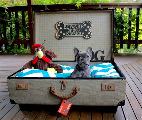 Upcycled Vintage Suitcase Dog Bed For Sale 185 Frenchie Not Included