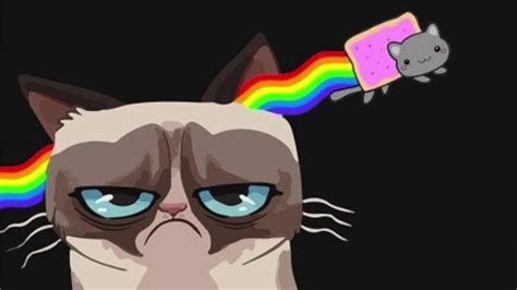 Animeme Rap Battles Nyan Cat Vs Grumpy Cat Lyrics Weight Lifting
