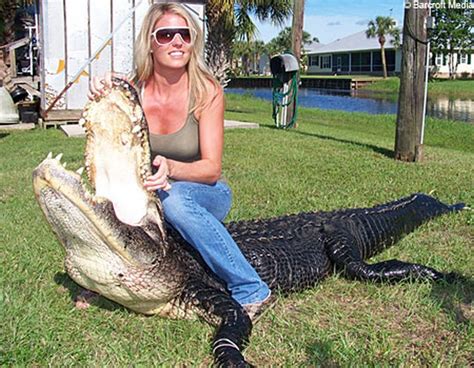 Alligator Hunting In Florida Big Alligator