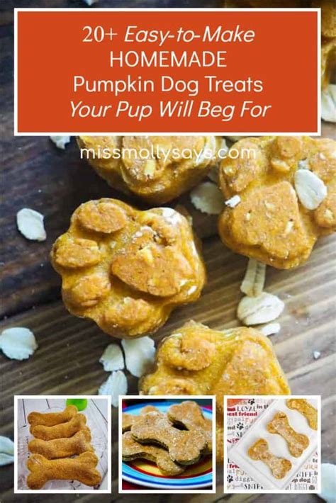 20 Easy To Make Homemade Pumpkin Dog Treats