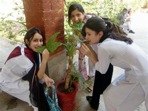 Malik Karachi College Girls Pics