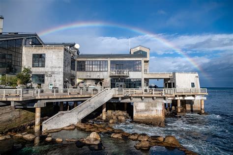About Us Monterey Bay Aquarium