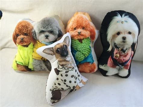 Personalized Dog Picture Pillow Dog Pictures Cool Cat Toys Custom