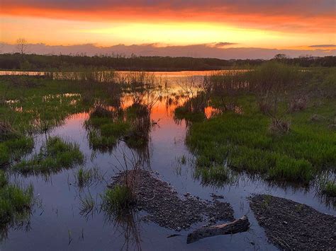 Celebrate Missouri Wetlands During American Wetlands Month In May