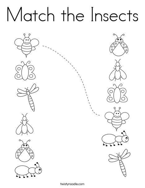Match The Insects Coloring Page Twisty Noodle Insect Coloring Pages
