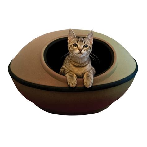 Wayfair Novelty Cat Beds Youll Love In 2022