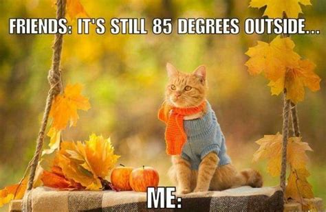 Making Us Laugh This Week Memes For Anyone Ready For Fall Fall Humor Fall Memes Fall Fun