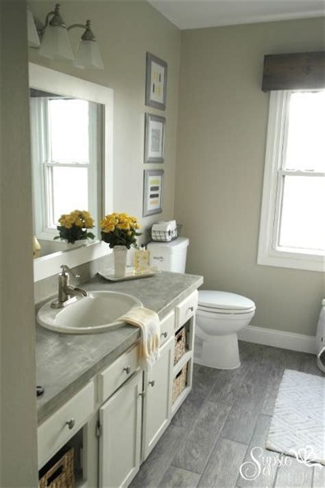 Toilet for necessity, double sink for convenience, bath for relaxation. Beautiful Builder Grade Bathroom Makeover on a Budget ...