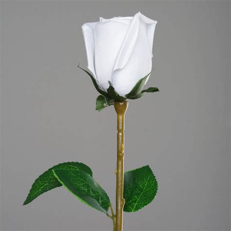 24 Long Stem Roses White Efavormart