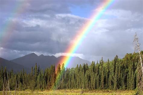 Rainbow Arch Rainbow Colors Double Rainbow Forest Landscape