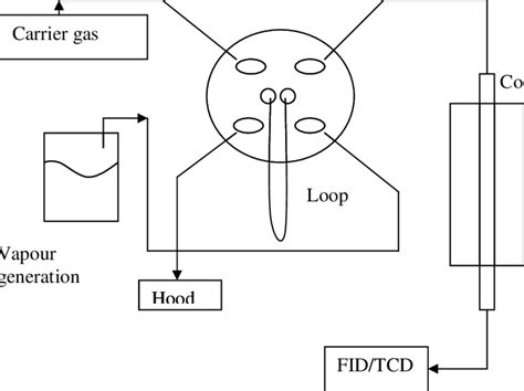 1 Schematic Diagram Of The Igc Experimental Set Up Used In This Study