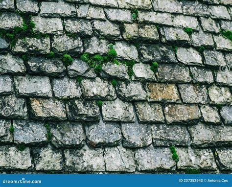 Close Up Of Old Roof Texture Stock Image Image Of People Structure