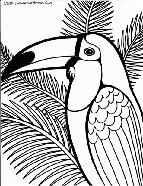 20+ Free Printable Bird Coloring Pages - EverFreeColoring.com