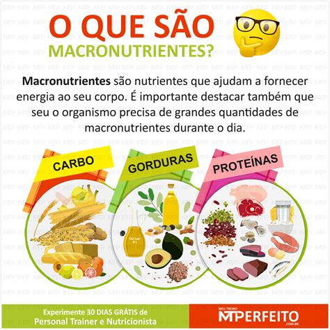 Macronutrientes Podem Ser Definidos Como A Classe De Compostos Químicos