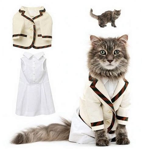 Clothing For Cats Pets Wiki