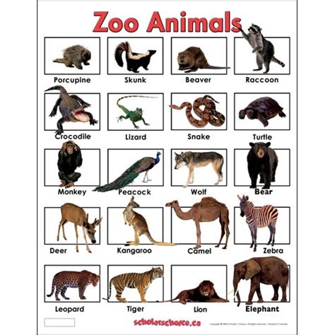 105 Best Images About Zoo Unit On Pinterest Animal Crafts Zoos And