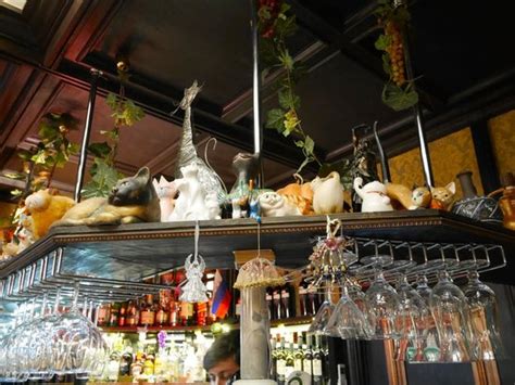 CAT CAFE, St. Petersburg - Restaurant Reviews, Photos & Phone Number