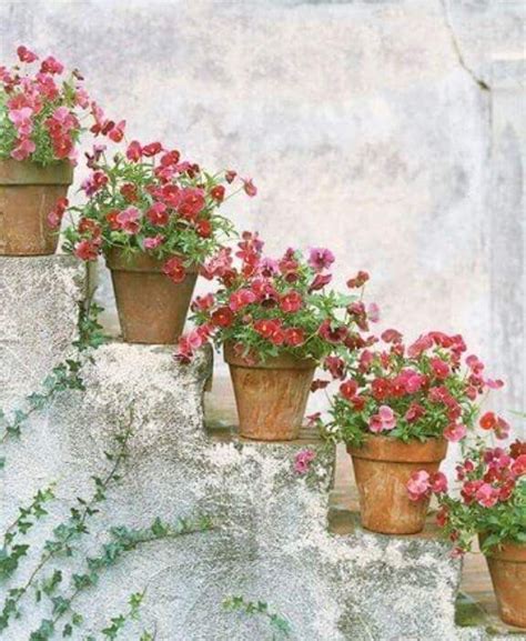 59 Best Garden Pots Spilling Flowers Images On Pinterest