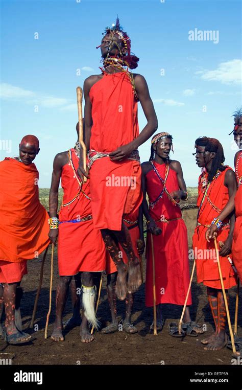 Tribal Dance Of The Masai Warriors Masai Mara Kenya East Africa