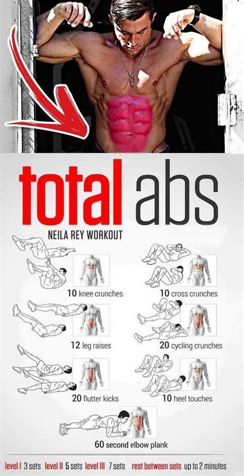 A Perfect Abs Workout Plan For All Of You To Have A Well Defined And Chisled Core Bonus Tip