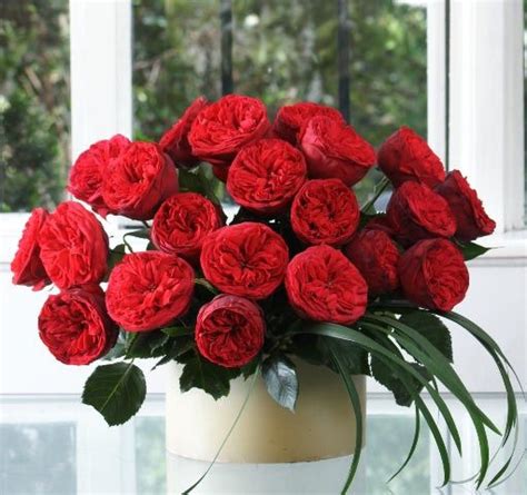 2 Dozen Red Garden Roses With Images Wholesale Flowers Buying