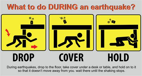 How To Prepare For The Great Shakeout 2020