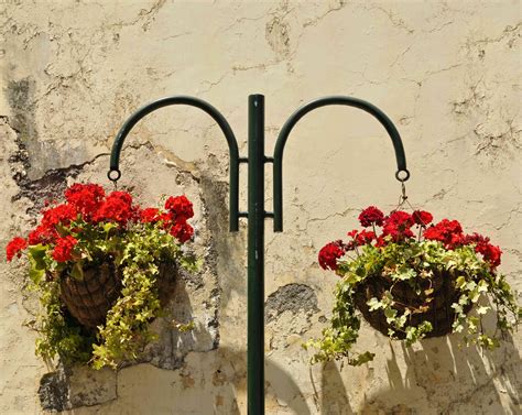 The weekly has four tips for perfect flora every time. 10 Best Flowers for Hanging Baskets
