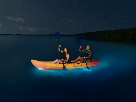 Puerto Ricos Magic Bioluminescent Bays Glow In The Dark Far And Wide