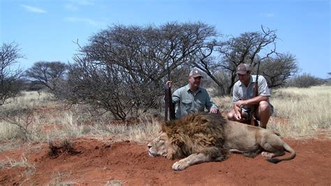 Lion Hunting Video In South Africa With Limcroma Safaris Youtube