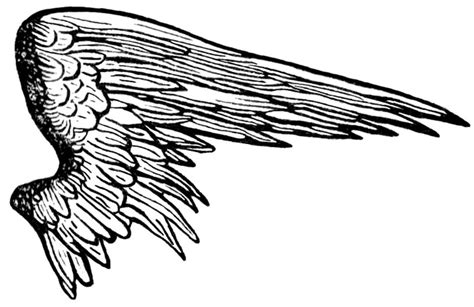 angel-wings-3bR.png Photo by smartcookie9 | Photobucket ... Download transparent fairy wings png for free on pngkey.com.