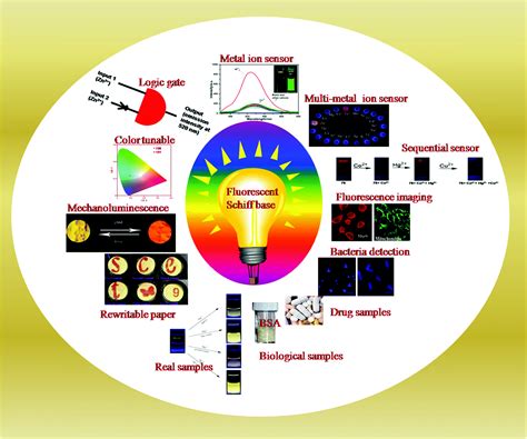 Fluorescent Schiff Base Sensors As A Versatile Tool For Metal Ion