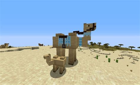 This minecraft bee guide will help you find bee how to gather honey and honeycomb in minecraft. Download Camels mod for Minecraft 1.15.2 for free - Guide ...