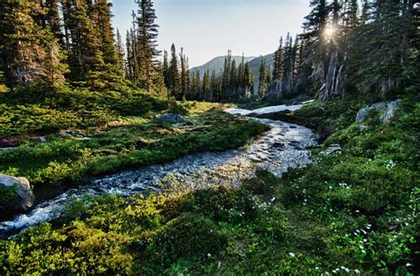 Top 10 Must Visit Parks In Washington State Touristsecrets