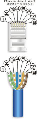 Cat 6 connectors diagram cat 6 wiring diagram rj45 new beautiful. Computer Science and Engineering: CAT5 and CAT6 wiring