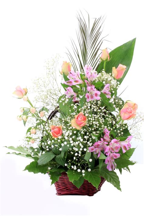 Scarica tutte le foto e usale anche per progetti commerciali. Filiale Di Piccoli Fiori Bianchi Fotografia Stock ...