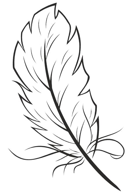 feathers coloring pages coloring pages    print