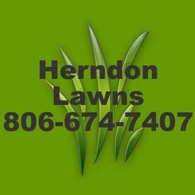Absolute lawn care will also stain your existing fence to bring back the beauty of your existing fence for a more cost effective solution. Herndon Lawn Service- Amarillo Texas (herndonlawns) on ...